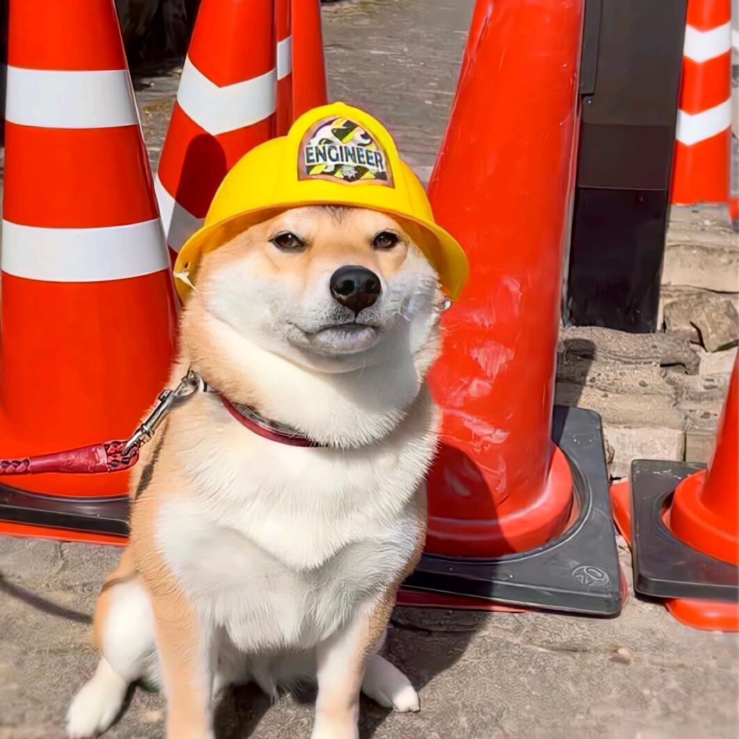 🎱（🐙迷弟版）