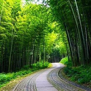 峰回路转