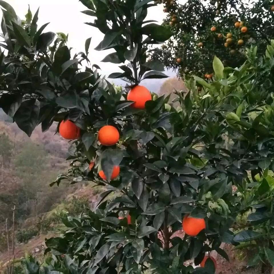 好好爱自己才是王道