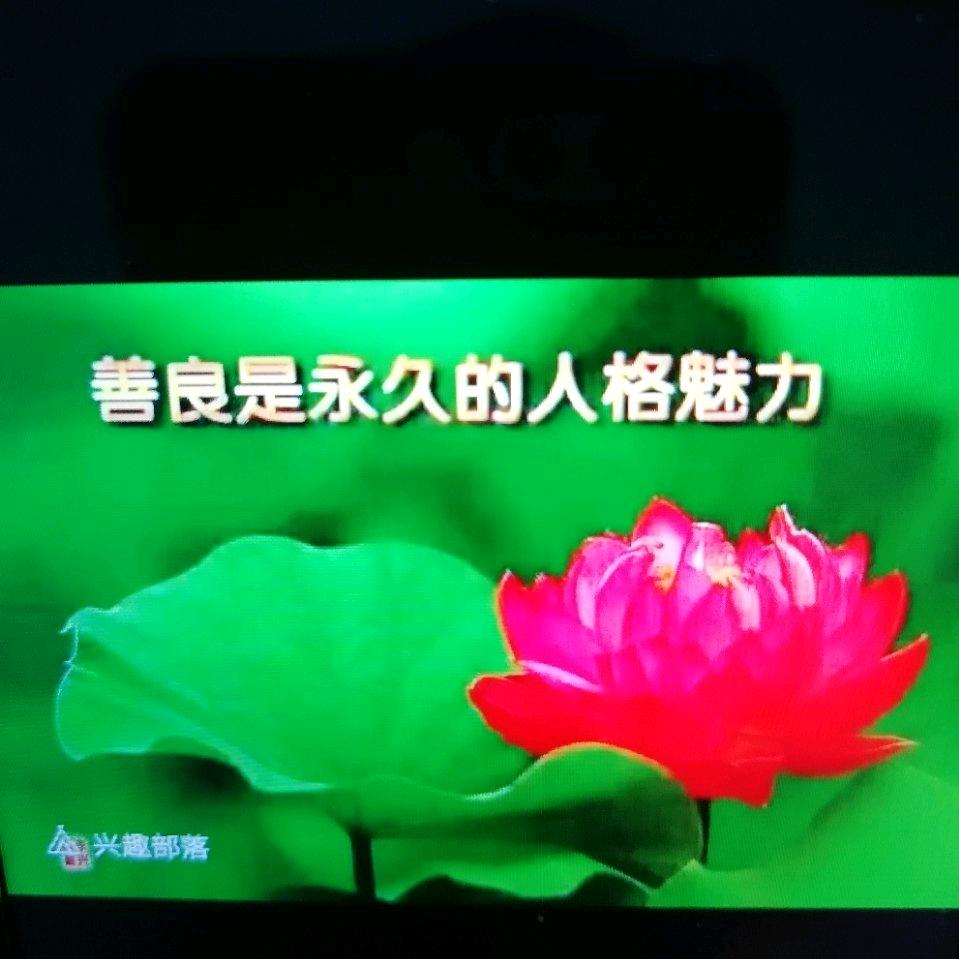喜气杨杨