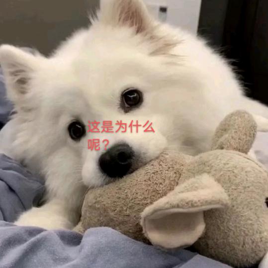 志向伟大