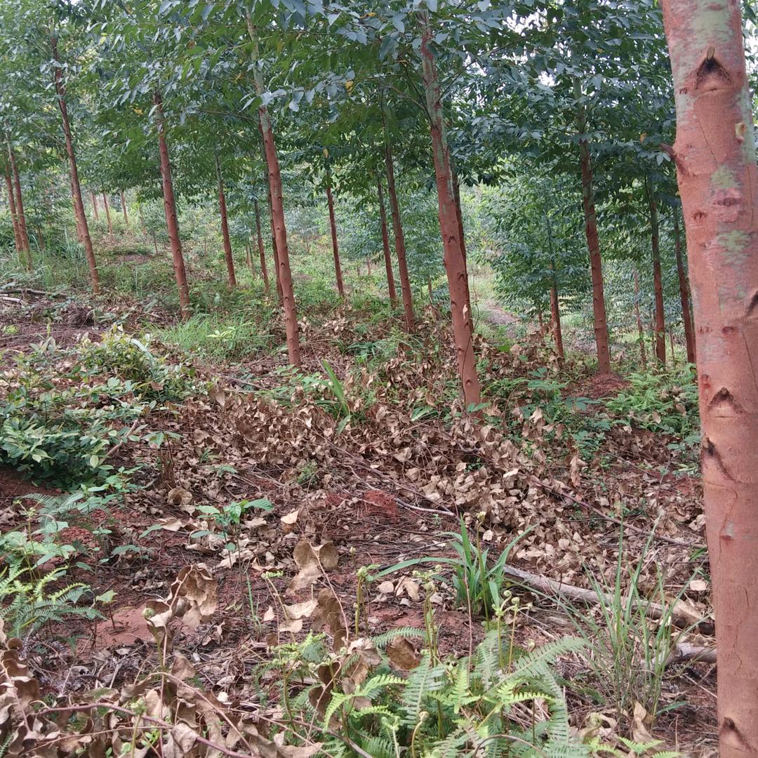 焦虑患者