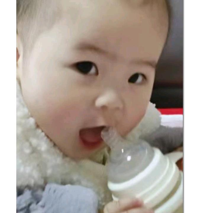安静小龙虾