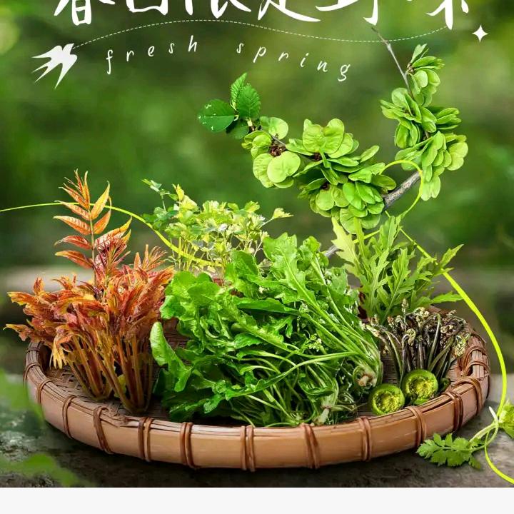 爱永不凋度