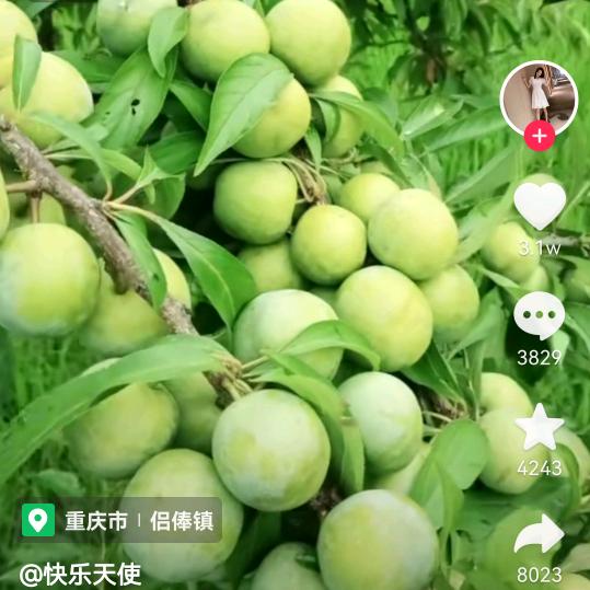 飞翔蓝天