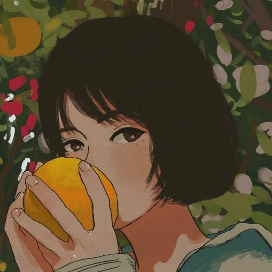 白衣飞行记