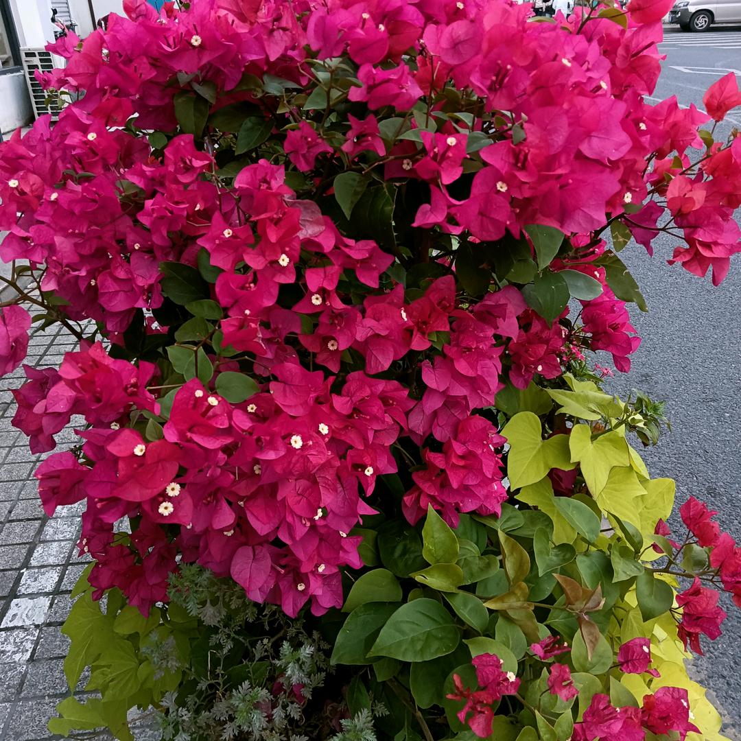 我爱我家$