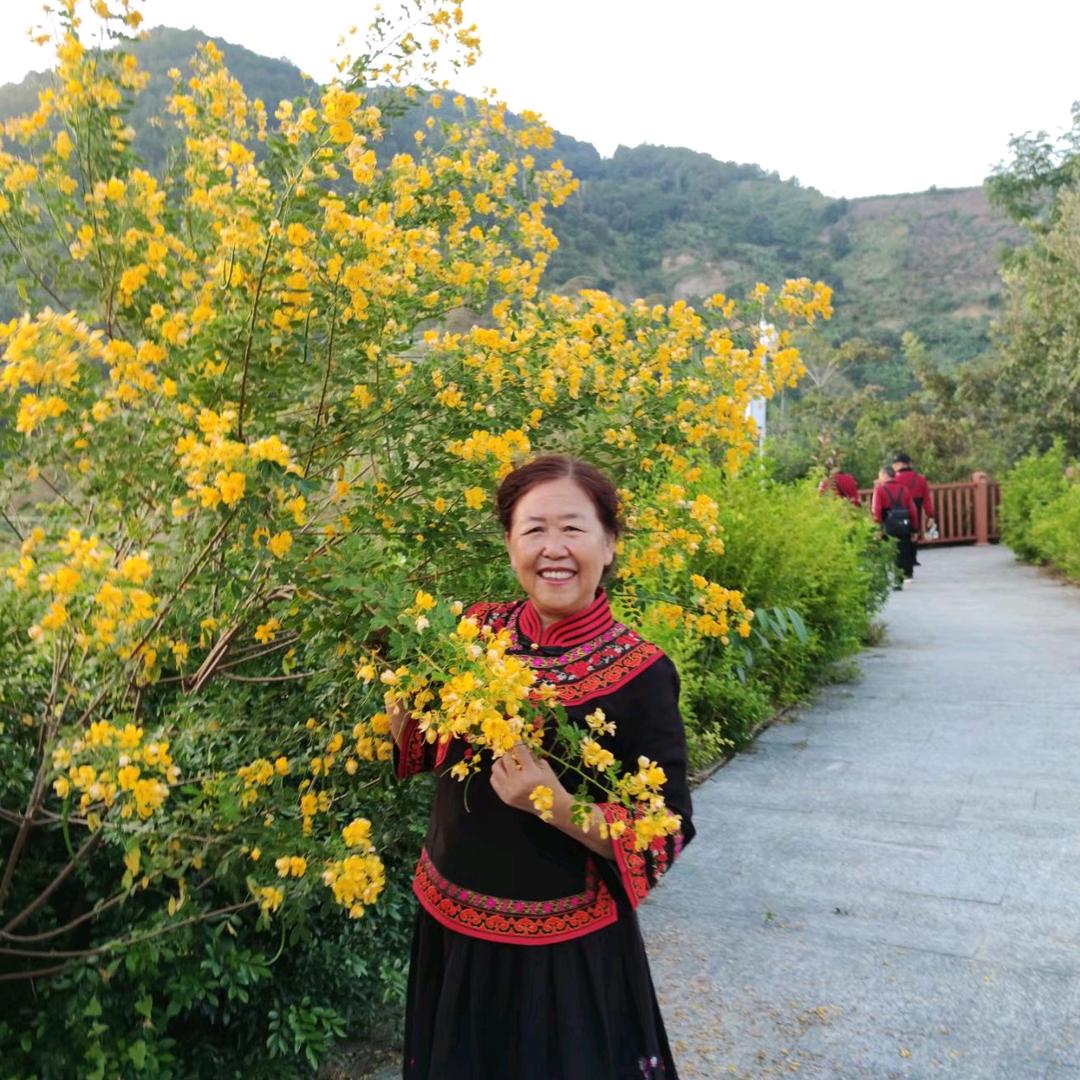 茉莉花