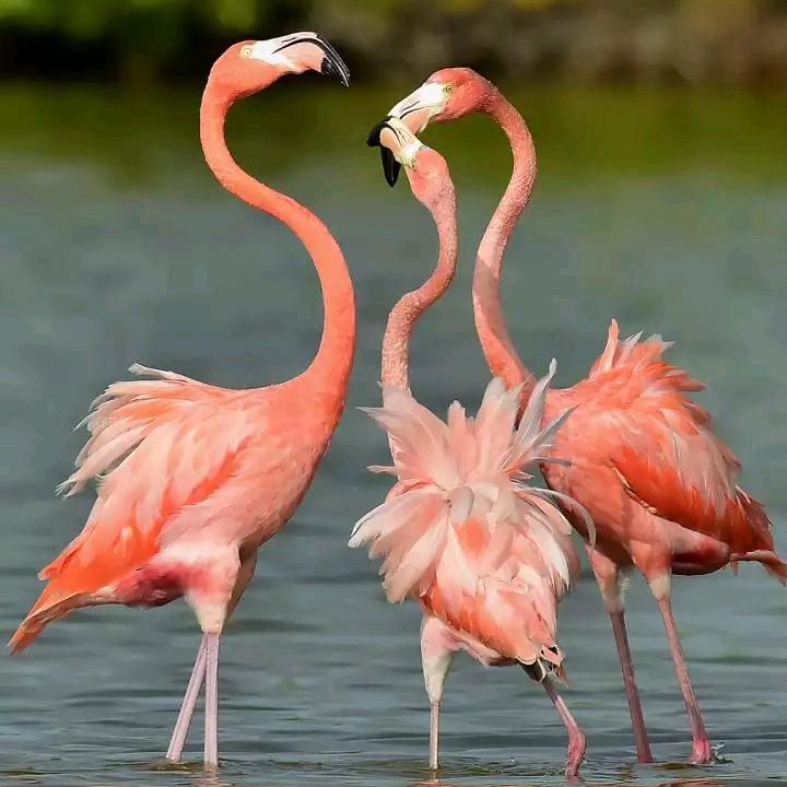 海口琼山区伟胜精选百货店