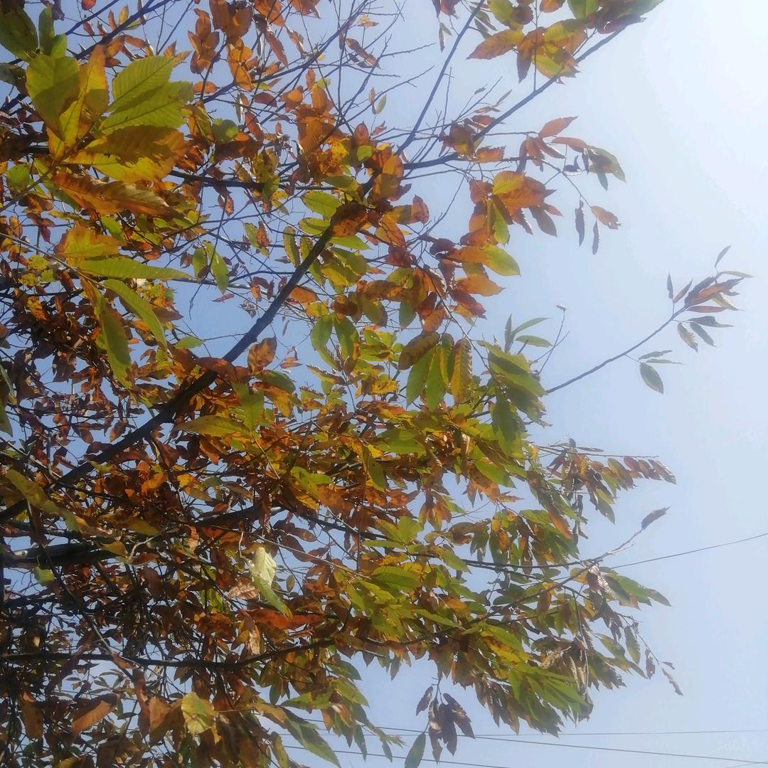 一生平安(ღ˘⌣˘ღ)