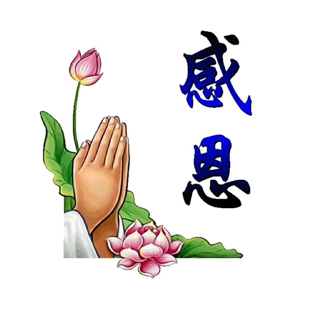 庄河高姐