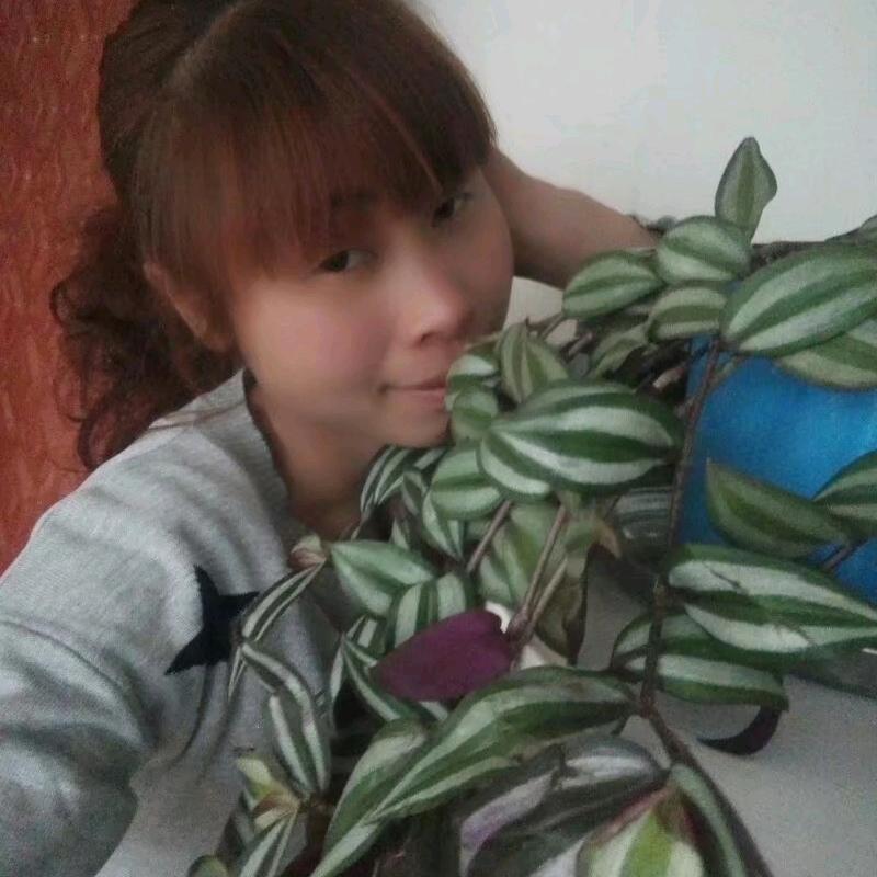 娄艳梅