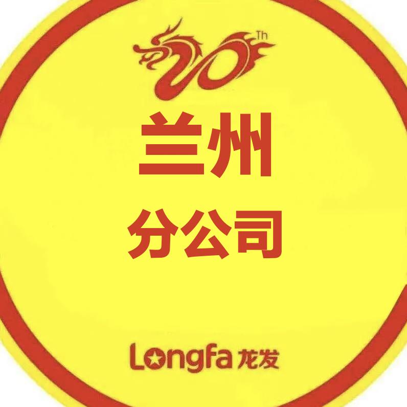 甘肃龙发装饰
