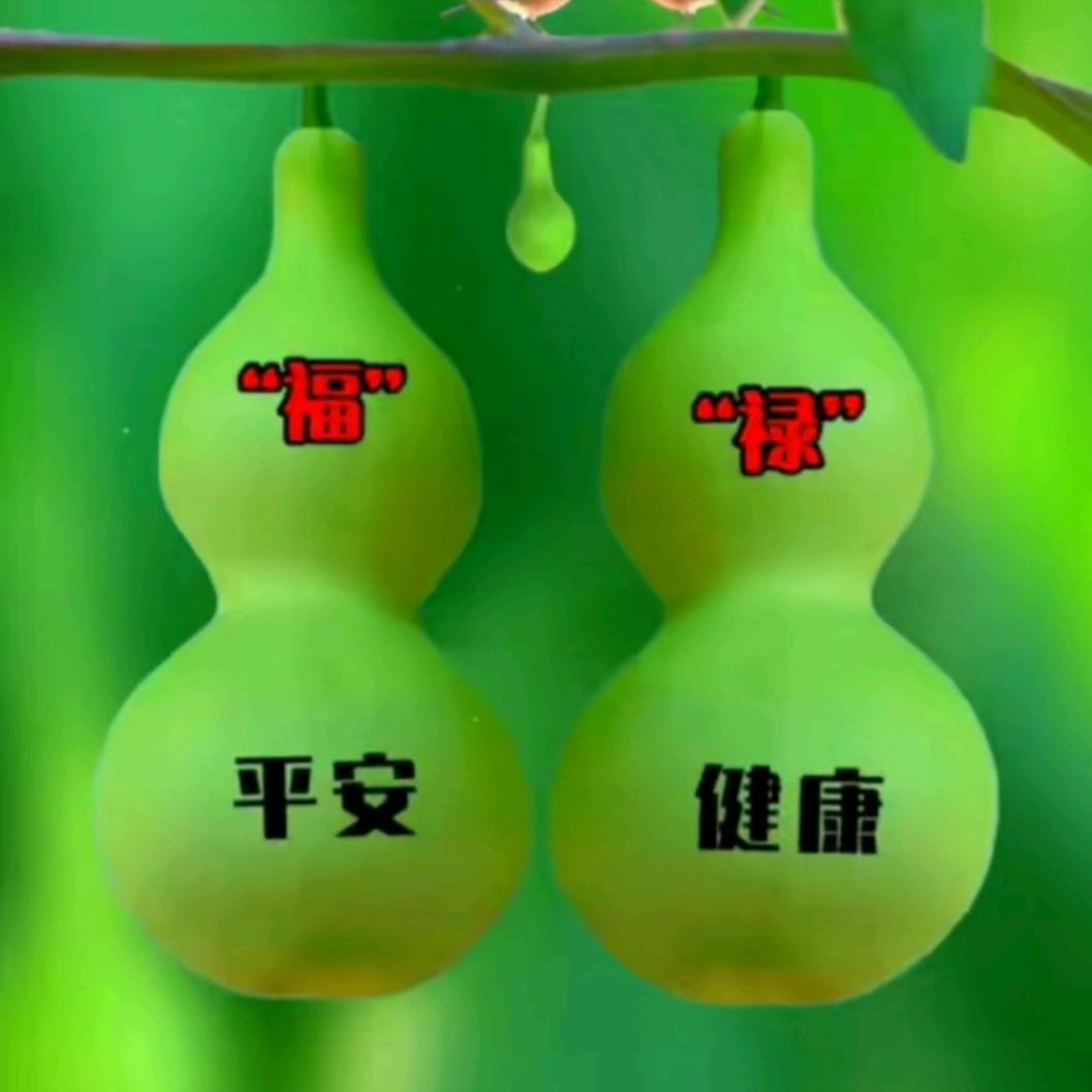 真心相爱