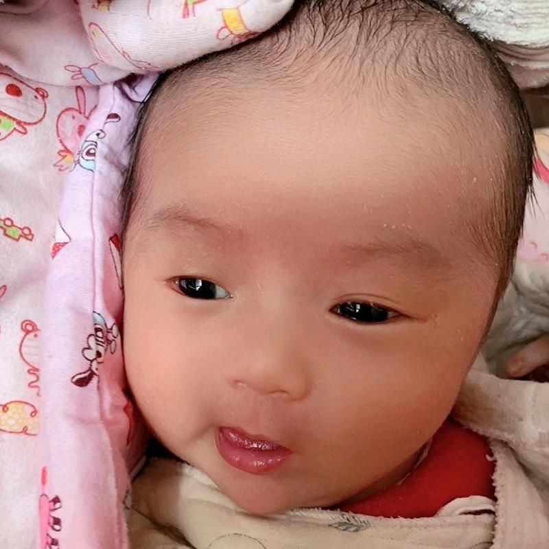 刘备