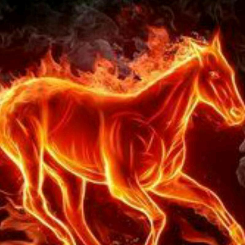 世界欠你一个李现