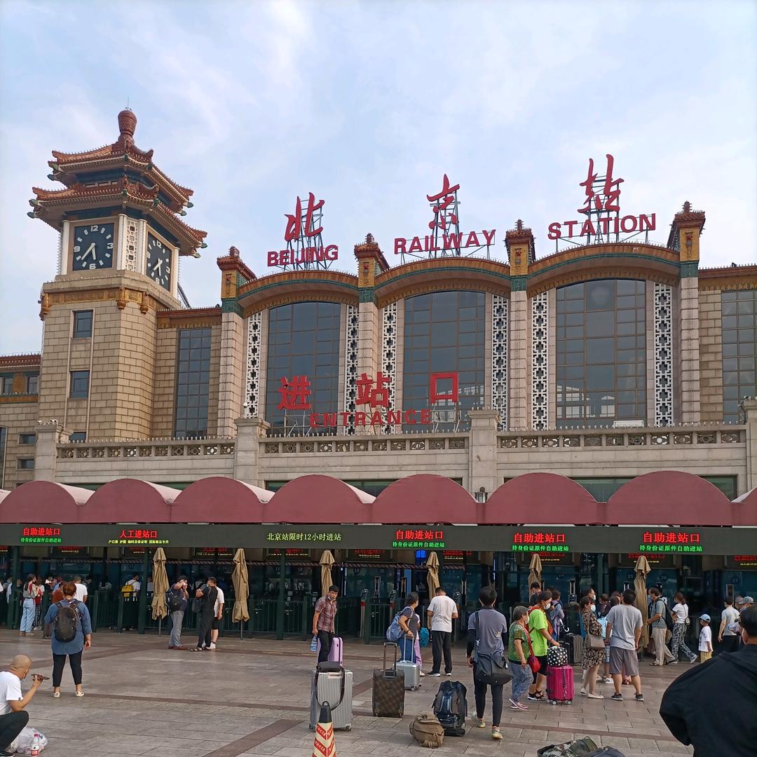 阿伟专业收购树木免费清理各种杂树，绿化树