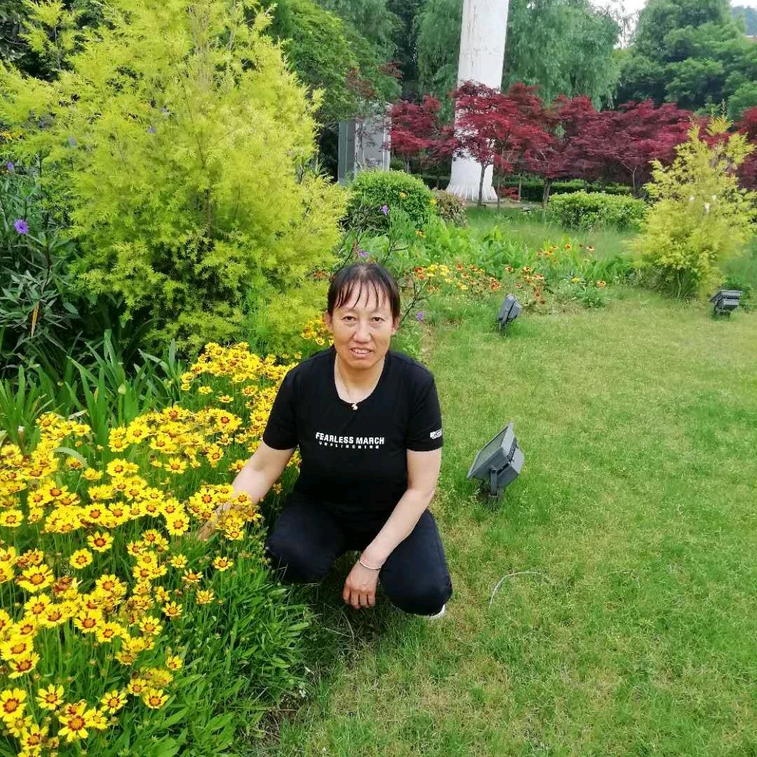 毛姐