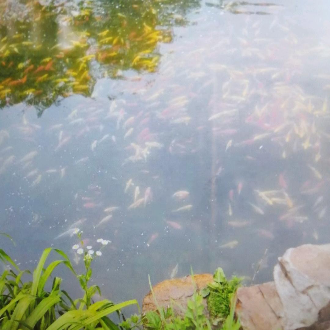 景河影视