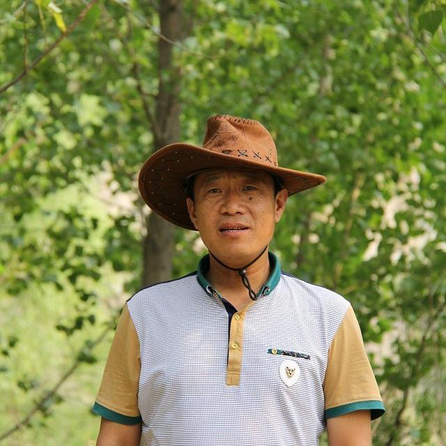 大美清丰