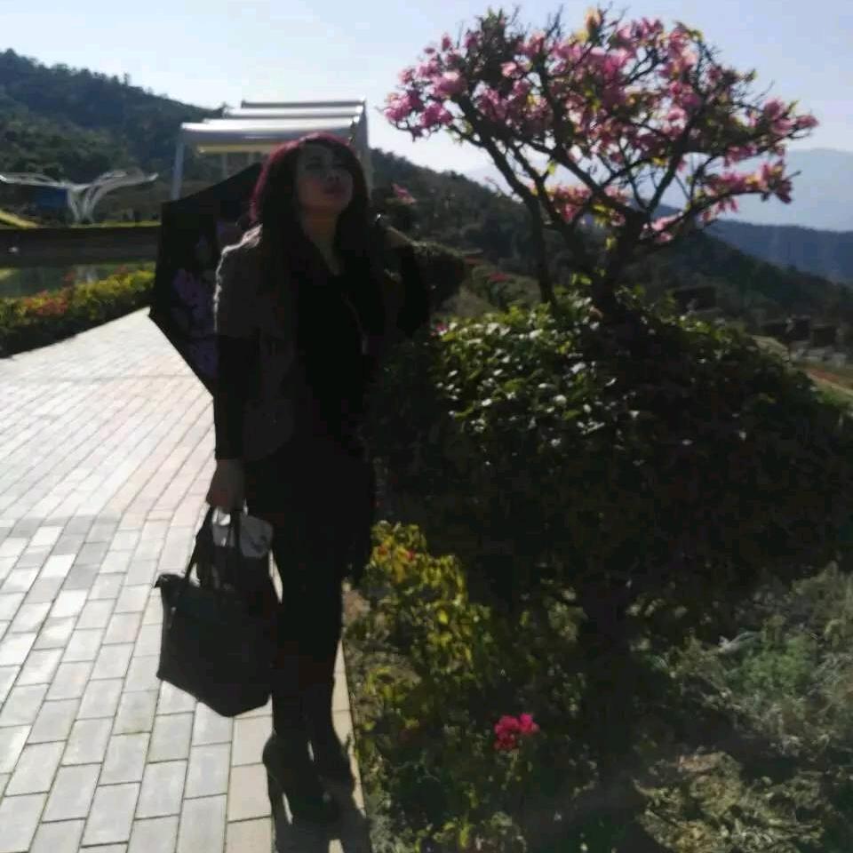 民间中草摆脱鼻炎