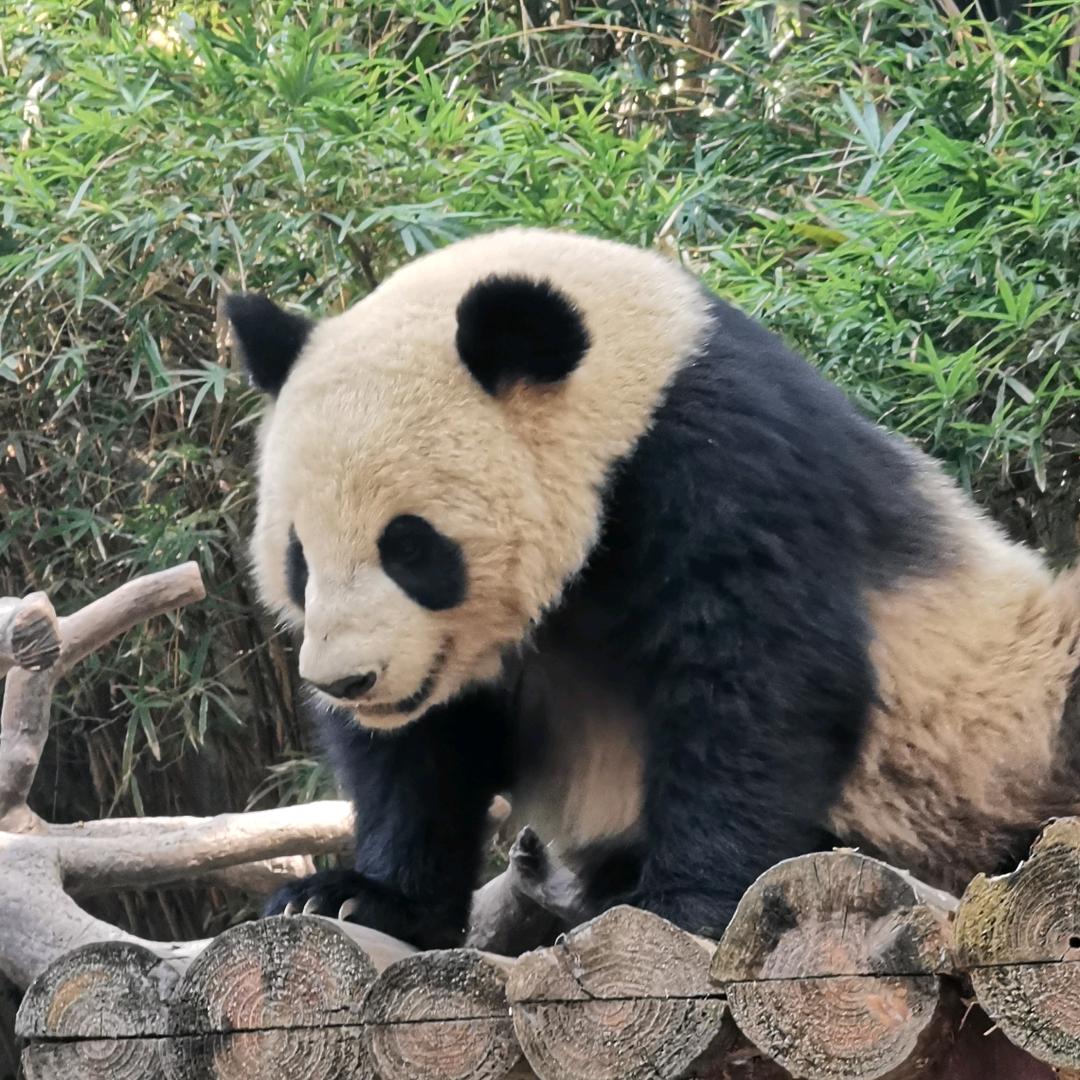 细细