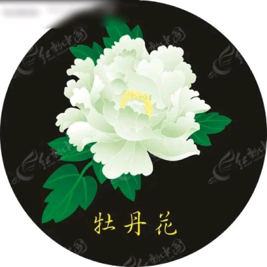 🍎晴洋🍎