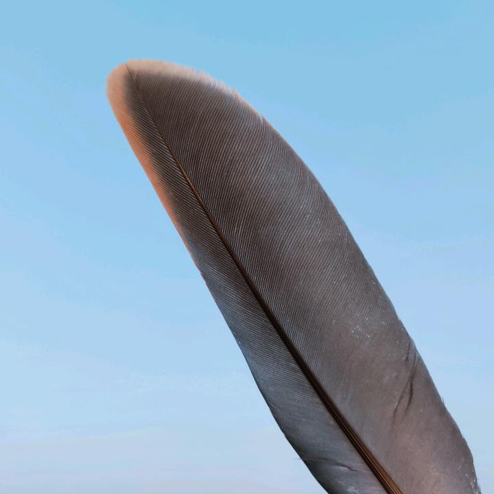 抖心