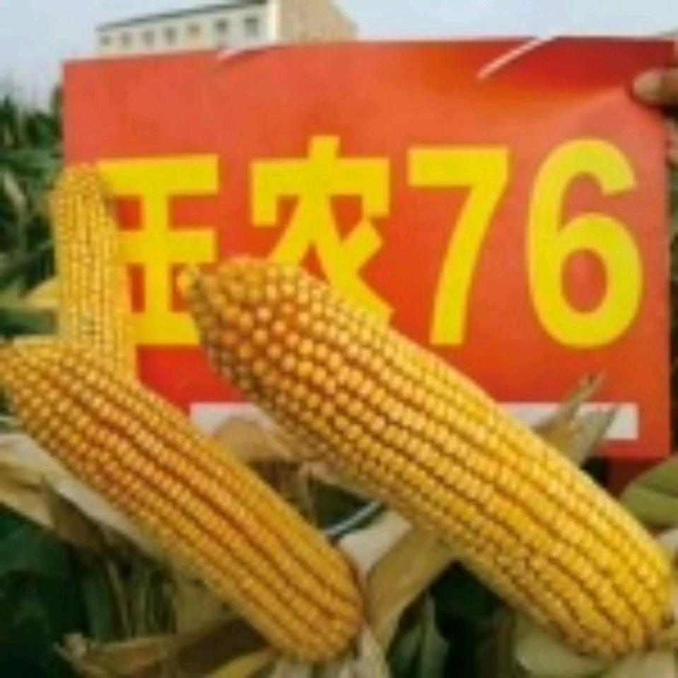 松涛说农业
