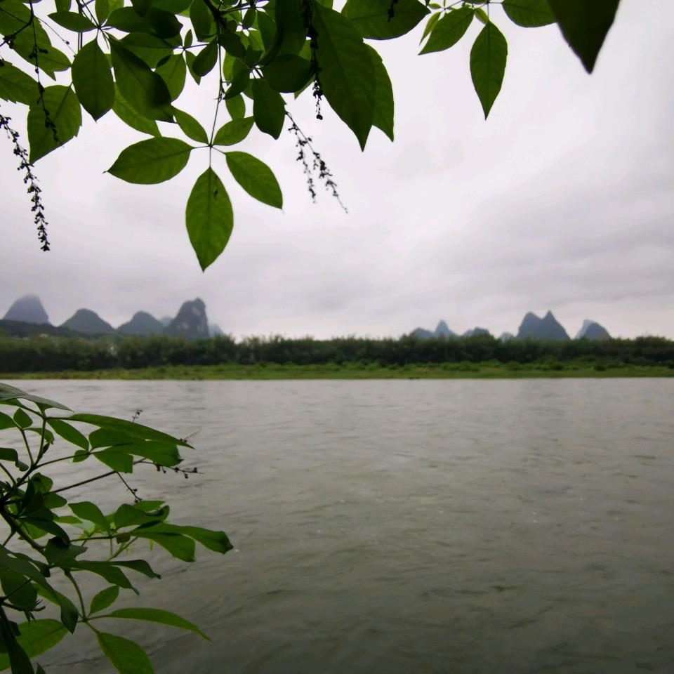 奶爸的种草快发芽