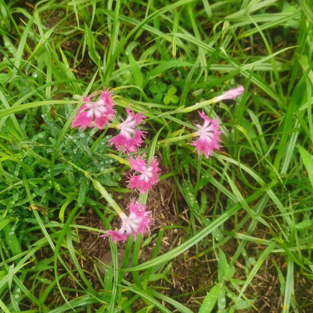 琪琪又又小时光