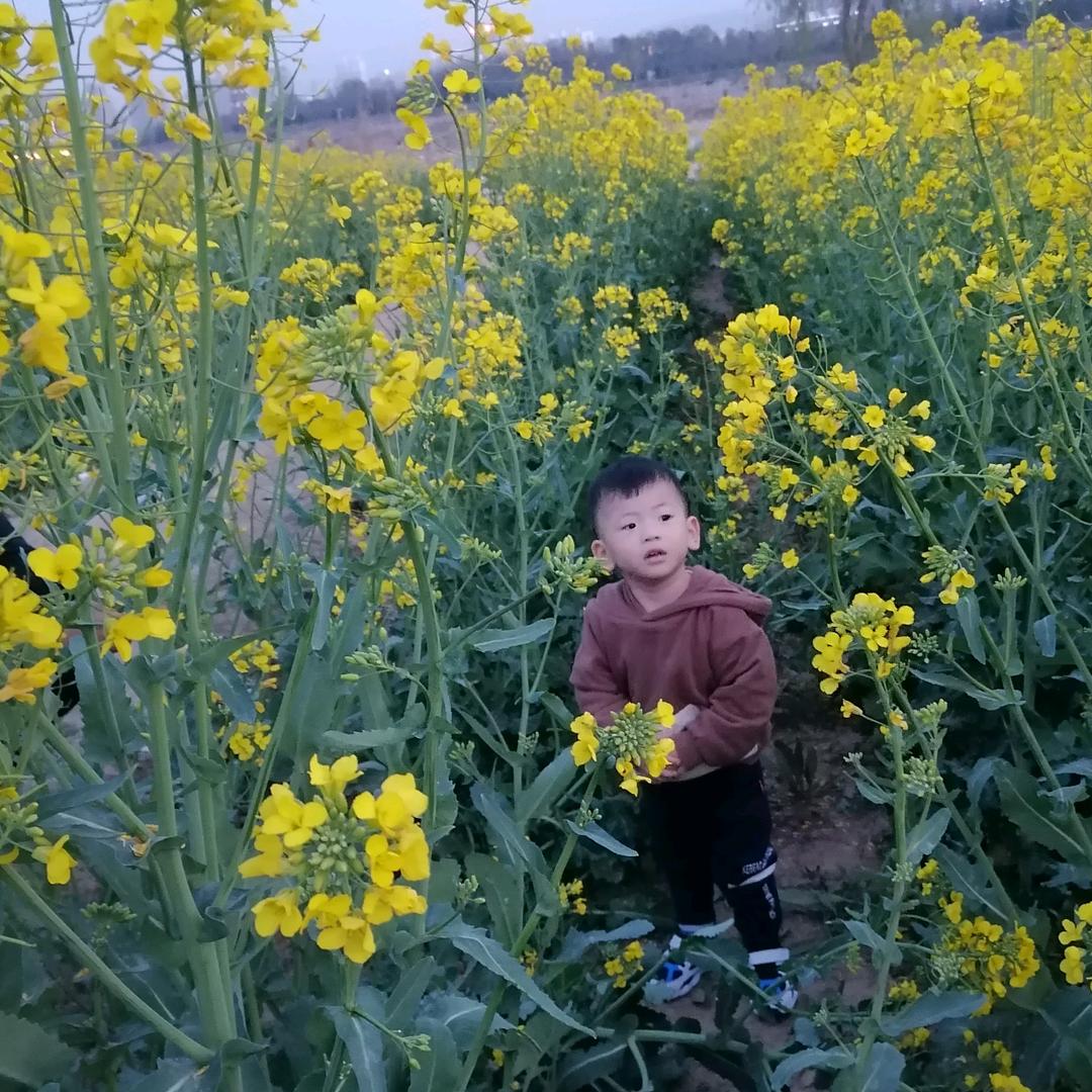 宝塔山油漆，三和自喷漆