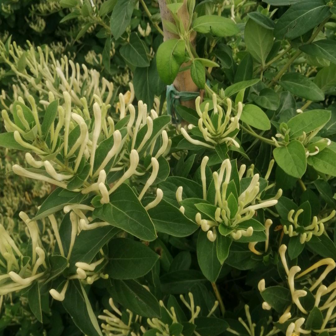 记入生活每一秒