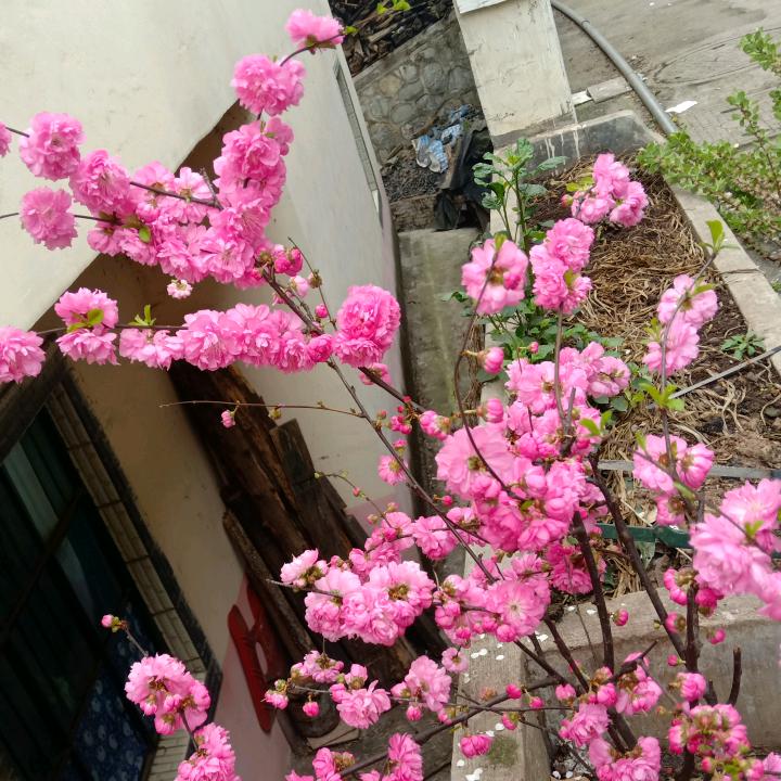 善良终有好报♥《拒绝连赞》