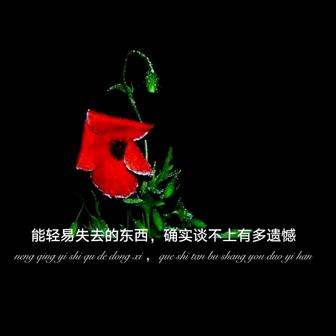睡前原谅一切，醒来不问过往
