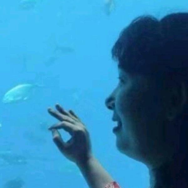 淡点了了了了了了