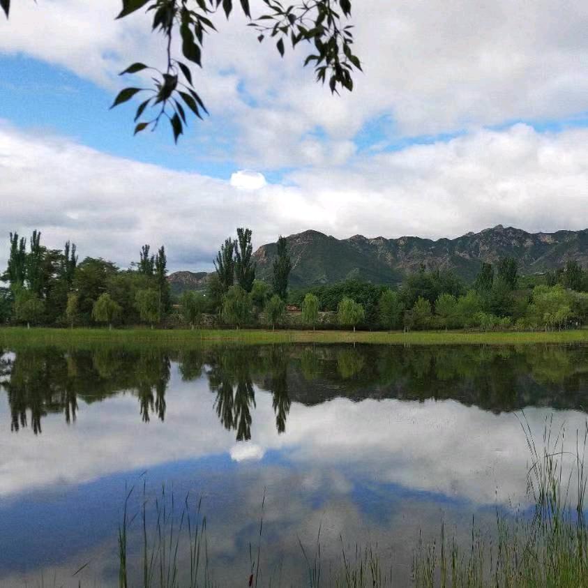 内蒙古鸿福亮化工程