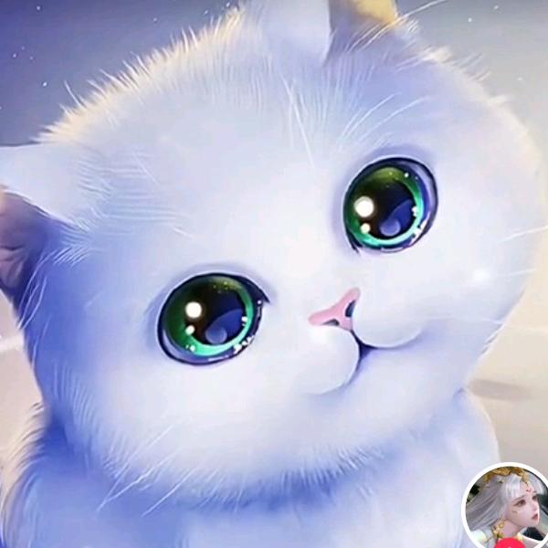 南巷❥旧人