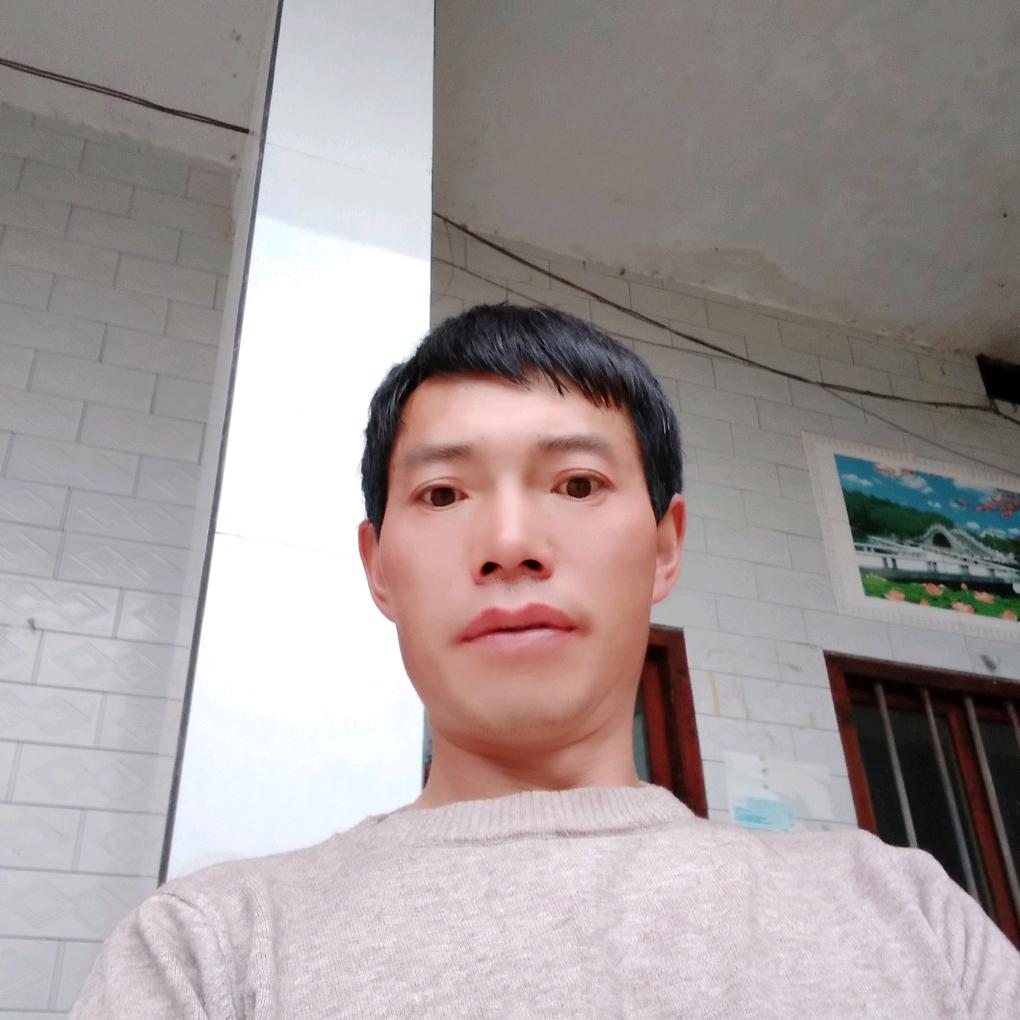 恭喜发财木易(杨)