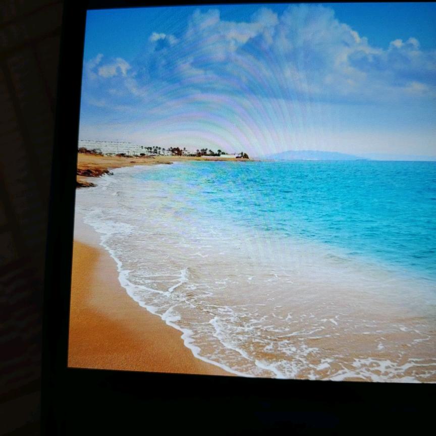 海