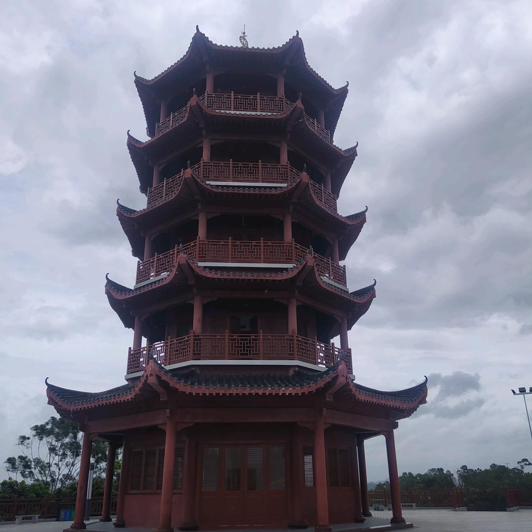 痴情浪子