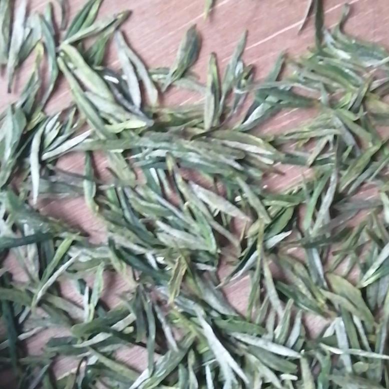 汀溪茶农胡奎（橱窗有好物）