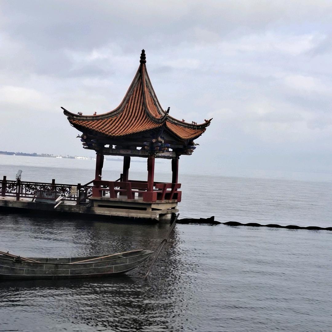 雄鹰