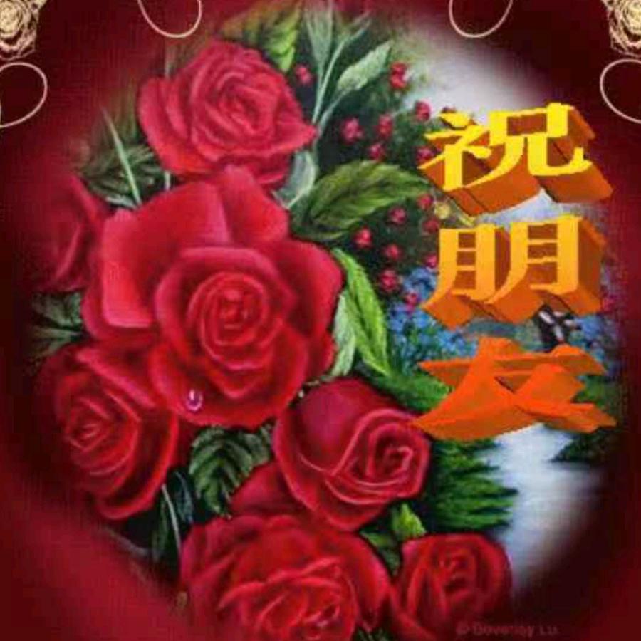 用户5299615258876