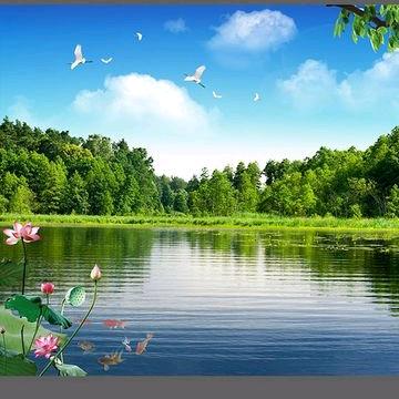 开心芒果