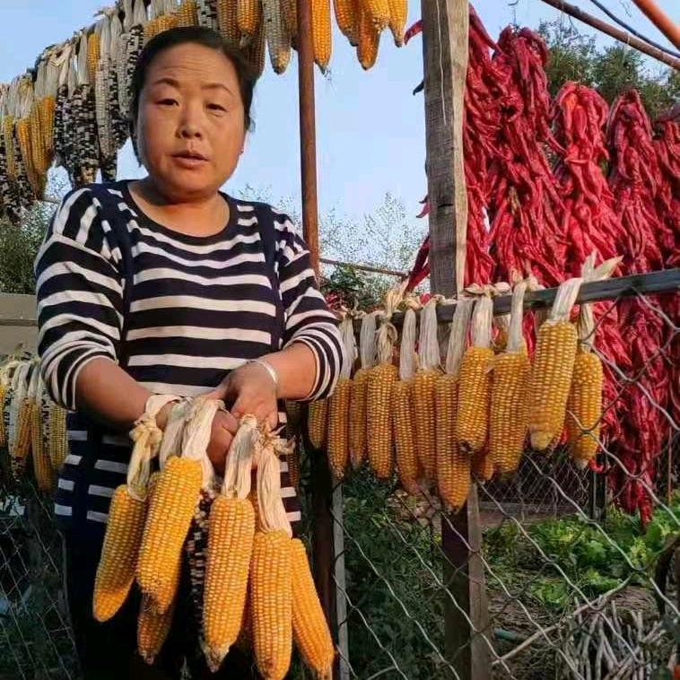 开心慧姐