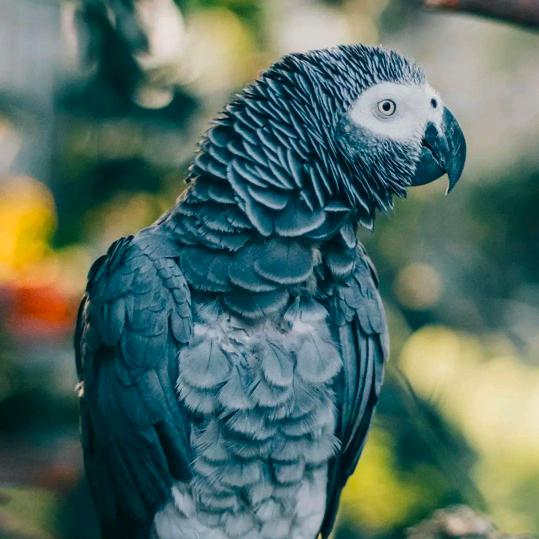 职业法师刘海柱