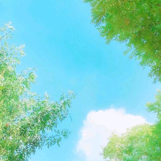 梦幻境界