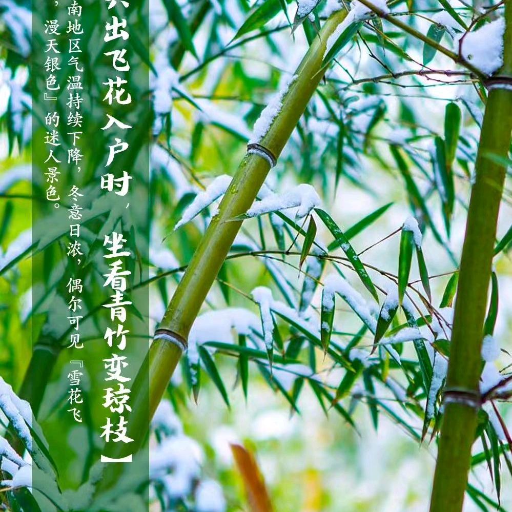 兔兔啊兔兔🦋(见过圆圆版)