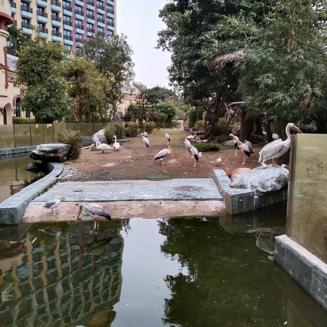 用户7462690887079小杨